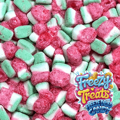Freezy Treats Freeze Dried Candy - WATERMELON SLICES