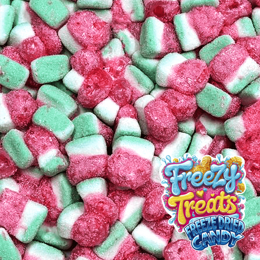 Freezy Treats Freeze Dried Candy - WATERMELON SLICES