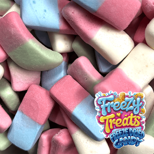 Freezy Treats Freeze Dried Candy - SQUISHIES
